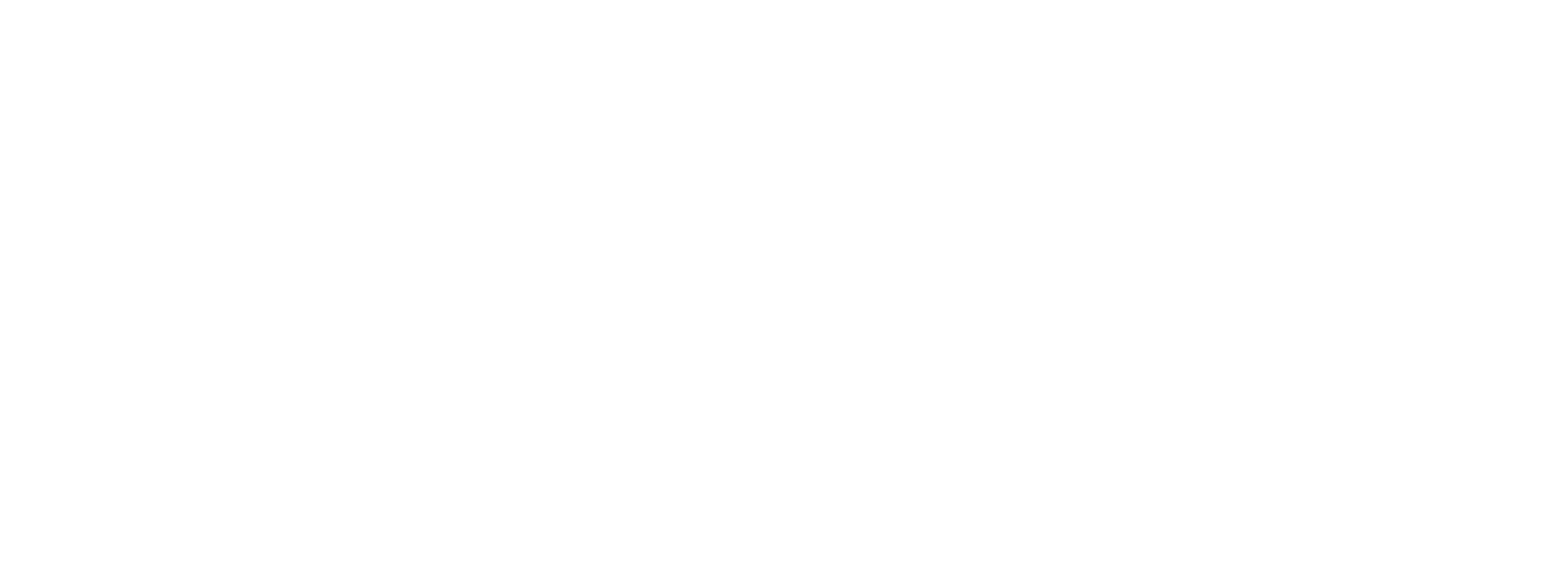 TDT Logo